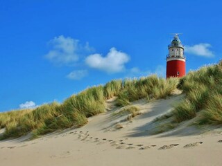 Der Leuchtturm von Texel bei De Cocksdorp