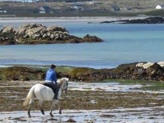 Holiday house Clifden Environment 19