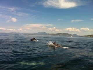 Ferienhaus Clifden Umgebung 21