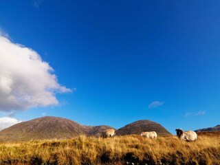 Ferienhaus Clifden Umgebung 29