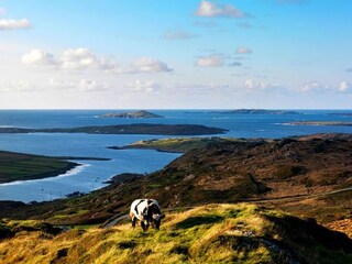 Ferienhaus Clifden Umgebung 37