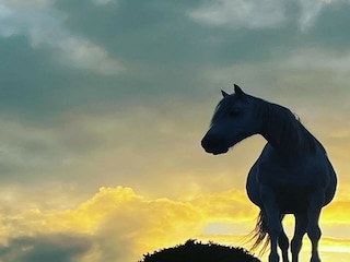 Bungalow Clifden Environment 21