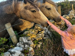 Bungalow Clifden Environment 22