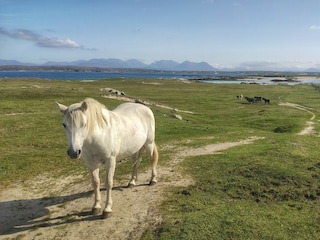 Bungalow Clifden  17