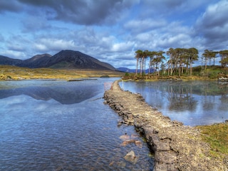 Bungalow Clifden  19