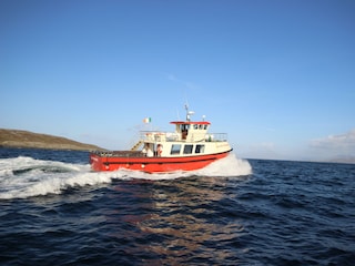 Bungalow Clifden  24