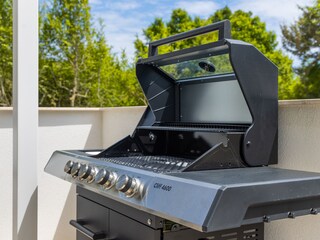 Villa Linardići Registrazione all'aperto 16