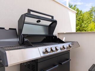 Villa Linardići Registrazione all'aperto 17