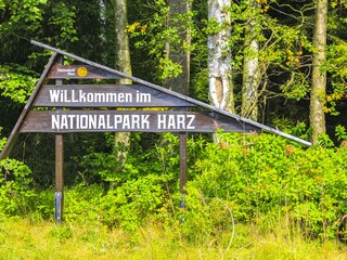 Entdecken Sie unberührte Natur im Nationalpark Hochharz