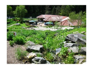 Besuchen Sie den weltgrößten Kräuterpark in Altenau