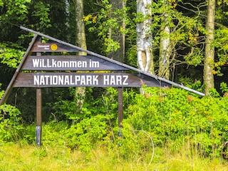 Entdecken Sie unberührte Natur im Nationalpark Hochharz