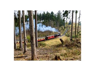 Eine Fahrt mit der Brockenbahn macht immer Spaß