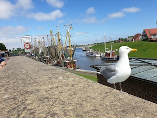 Hafen Greetsiel