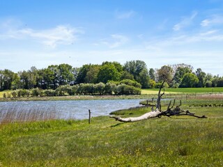 Vakantiehuis Ulsnis Omgeving 26