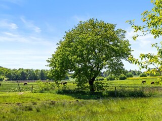 Vakantiehuis Ulsnis Omgeving 29