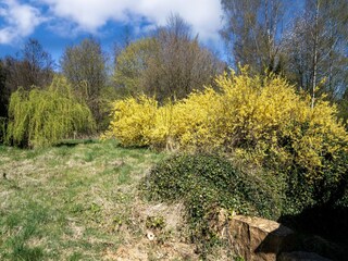 Vakantiehuis Herbeumont Buitenaudio-opname 3