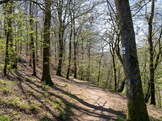 Vakantiehuis Herbeumont Omgeving 25