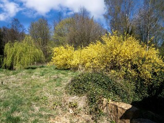 Maison de vacances Herbeumont Enregistrement extérieur 6