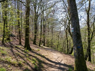 Vakantiehuis Herbeumont Omgeving 26