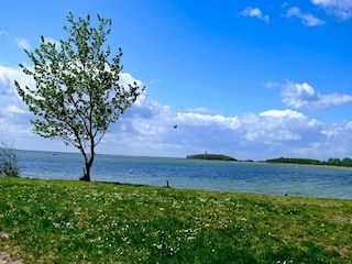 Apartment Orth Umgebung 30