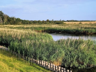 Apartment Orth Umgebung 38