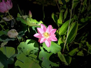 Ferienhaus Carsac-Aillac  37