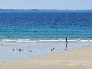 Vakantiehuis Argol Omgeving 13