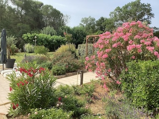 Ferienhaus Prades-sur-Vernazobre  39