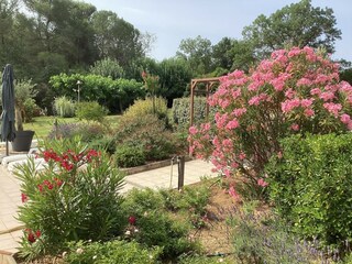 Holiday house Prades-sur-Vernazobre  39