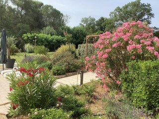 Casa per le vacanze Prades-sur-Vernazobre  39