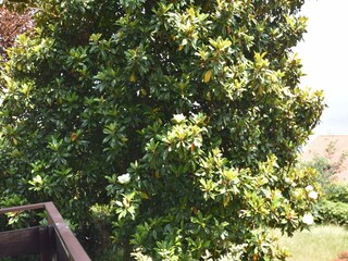 Casa de vacaciones Premeno Grabación al aire libre 4