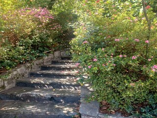 Vakantiehuis Premeno Buitenaudio-opname 8