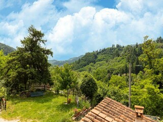 Villa Marliana Entorno 33