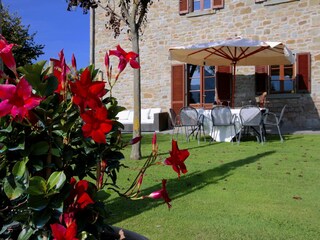 Villa Cortona Registrazione all'aperto 21