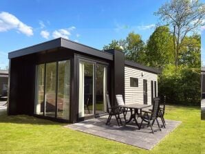 Chalet in Hengelo nahe Twickel Estate - Hengelo in Gelderland - image1