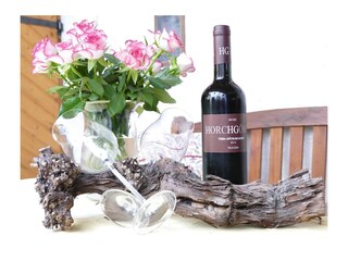 Holiday apartment Winningen Outdoor Recording 4