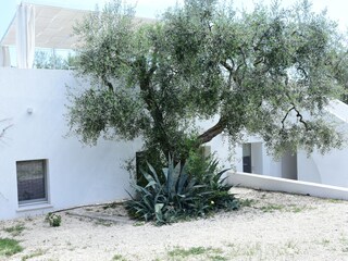Villa Mattinata Außenaufnahme 2