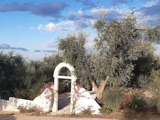 Villa Mattinata Umgebung 12