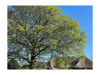 Hauptansicht