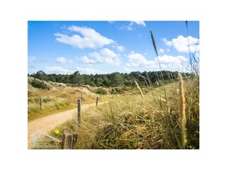 Ferienhaus Nordlys 21