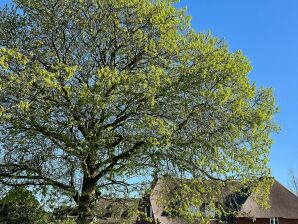 Fährmanns Hüs Wohnung Achterdeck