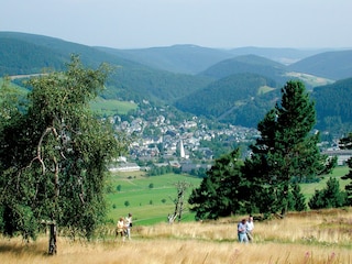 Willingen - Nr.1 Wanderregion im Sauerland