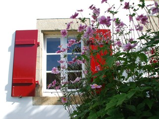 Ferienhaus Amon Winand - Garten