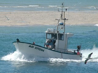 Ferienhaus Amon Winand - Audierne 2
