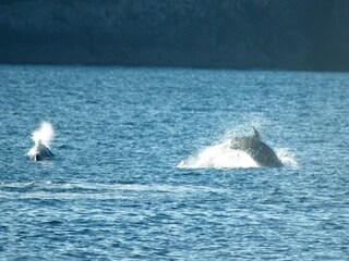 Ferienhaus Amon Winand - Manchmal kann man glück haben