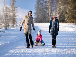 Appartamento Hollersbach im Pinzgau Ambiente 18