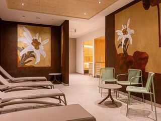 Appartamento Hollersbach im Pinzgau  30