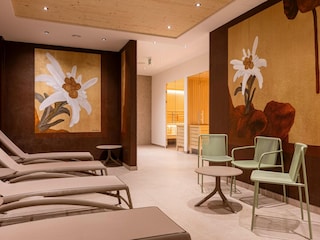 Apartamento Hollersbach im Pinzgau  27