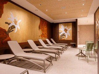 Appartamento Hollersbach im Pinzgau  28