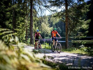 Ferienpark St. Lorenzen ob Murau Umgebung 22